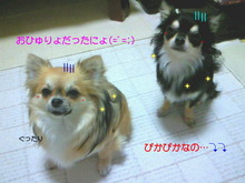 200806271712000.jpg