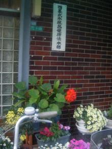 大和阿2