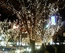 200512241936000.jpg