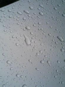050924_1342~01.JPG