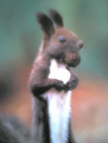 060903_1107~001.jpg