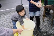 ごみちゃん日記