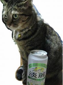 鈴木社長っ!お話があります!!