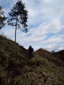 MTB