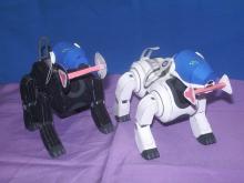 black＆white　aibo