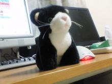 どうも。弟です。