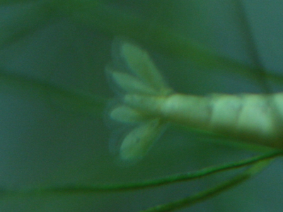 132.b