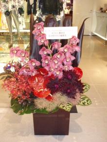 glamorous花