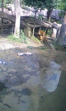 080827_142202.JPG