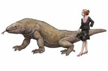 メガラニア