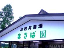 koiwa1
