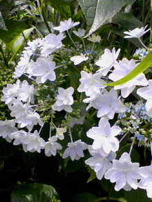 080615_1348~01.jpg