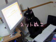 ネット