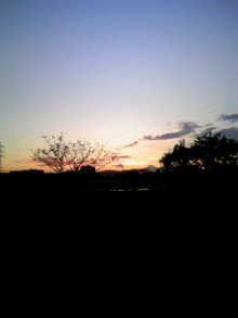 071112_164852.JPG