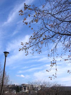 .:.:*.:.:☆　Blog　☆:.:.*:.:.　-空