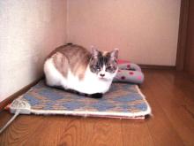 KOKO HOUSE♪