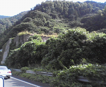 200810050931000.jpg