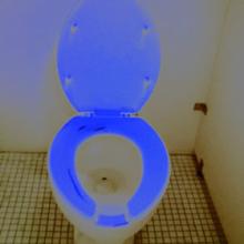 聞こえてた？：トイレにて