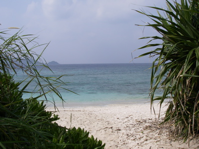 hizushi2