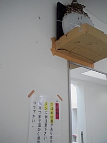 080611_1338~01.jpg