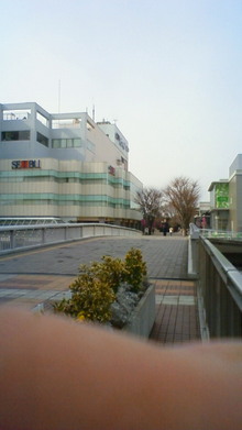 200803020950000.jpg