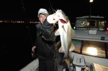 とある烏賊釣り師の雄叫び