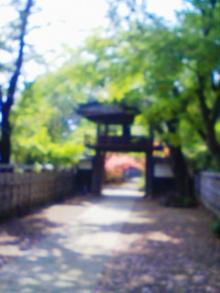 中院