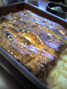うなぎ美味いねえ・・・