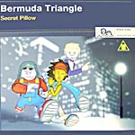 Bermuda Triangle -- Secret Pillow
