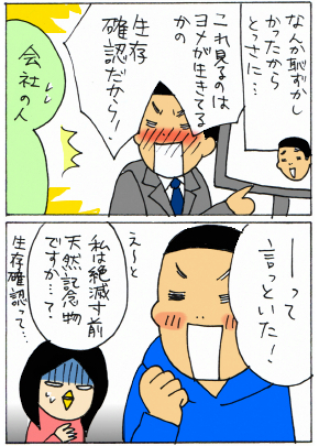 ★新婚（気分）フクロウ便り★