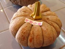 平安小菊