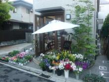 お花屋さん