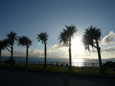 夕日