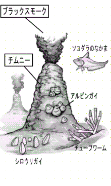 熱水噴出孔の生態系