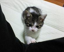 ﾈｪﾈｪ。