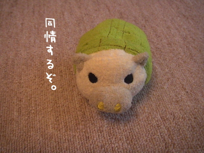 同情