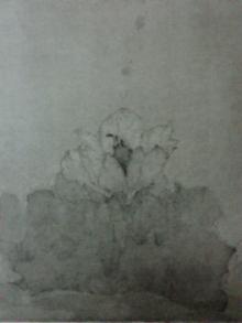 20061228142123.jpg