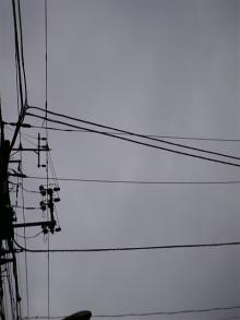060219