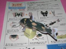 ネコギギ