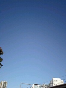 081121_1006~0001.jpg