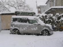 雪の愛車
