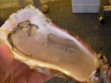 生牡蠣