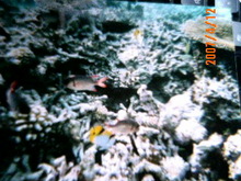 070412_170020.jpg