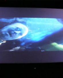 jaws3