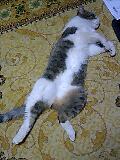 070204_2159~0001-0001.jpg