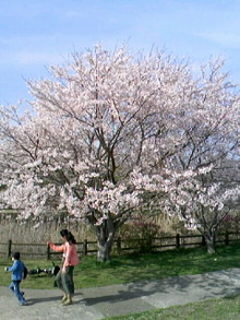080405_1505~010001.JPG