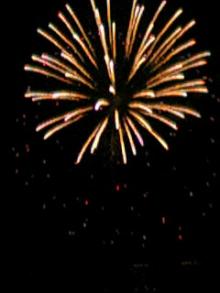 180602_hanabi.jpg