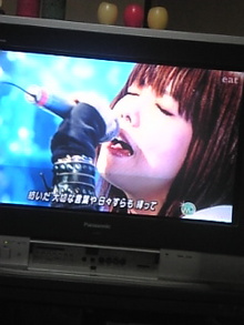 露草―――・・・　　(ﾂﾕｸｻ)-Image481.jpg