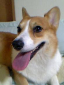 0707haru