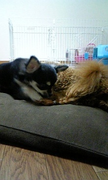 080922_124706.jpg